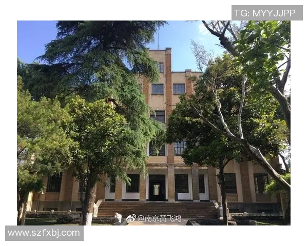 南京篮球队逆袭之旅揭秘世界锦标赛背后的奋斗与荣耀 南京篮球队逆袭之旅揭秘世界锦标赛背后的奋斗与荣耀