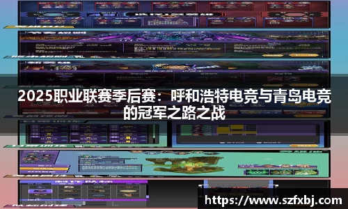 DB电竞app